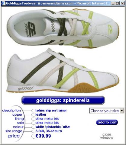 Photo of a juniors sports shoe