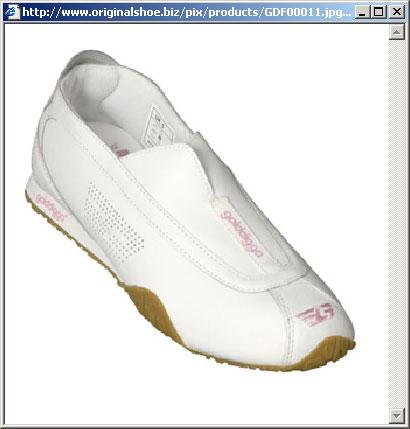 Photo of a juniors sports shoe