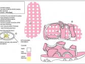 Image of a design for a girls sandal